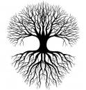 tree-roots-coloring-page-simple-tree-roots-coloring-coloring-pages-tattoos-pinterest-free